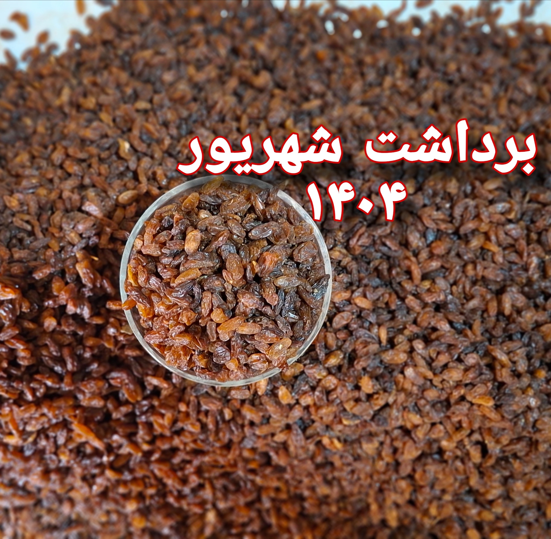 کشمش آفتابی اصیل کاشمر
