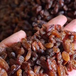کشمش آفتابی آبگیری