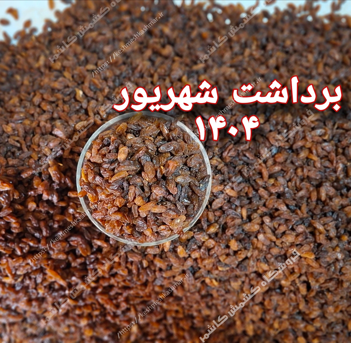 کشمش آفتابی آبگیری 10کیلویی اصیل کاشمر